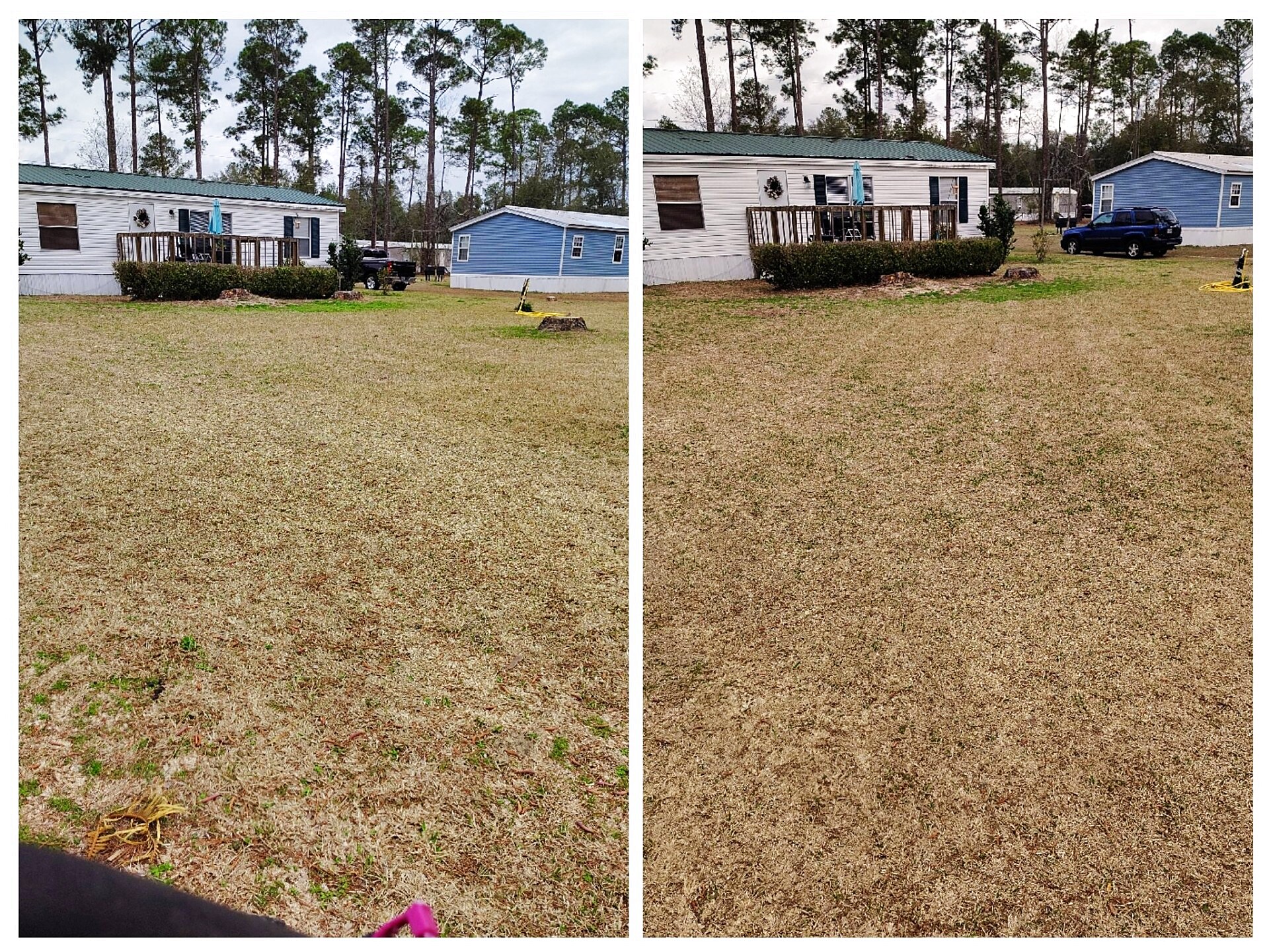 Lawn cleanup and edging — before and after